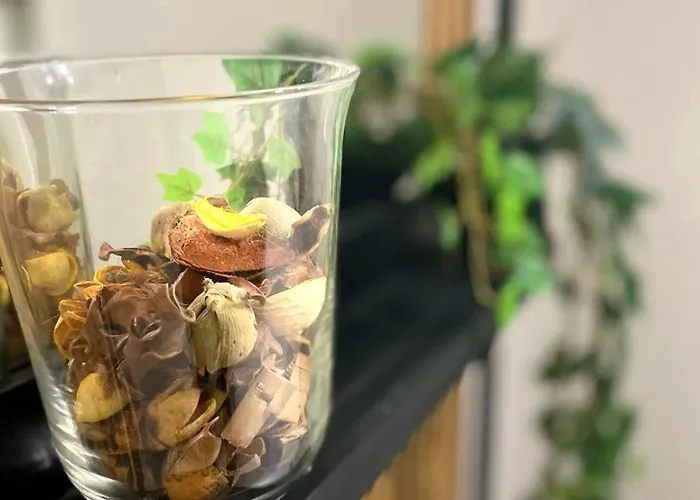 Spaccanapoli Mario's House Apartament