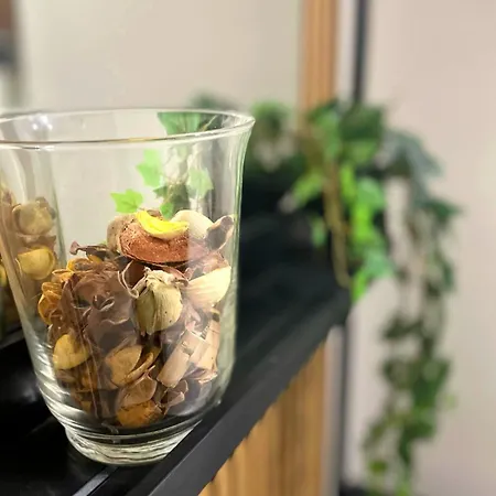 Spaccanapoli Mario's House Apartamento